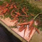 Our strange little finger carrots.