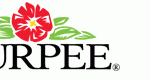 burpe