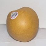 Asian Pear Asian Pear