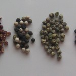 Peppercorns Peppercorns