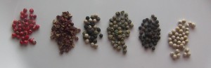 Peppercorns Peppercorns