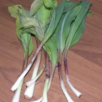Ramps Ramps