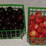 Cherries Cherries