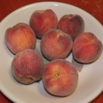Candor Peaches Candor Peaches