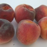 Coral Star Peaches