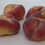 Galaxy Donut Peach Galaxy Donut Peach
