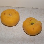 Harvest Moon Donut Peaches Harvest Moon Donut Peaches