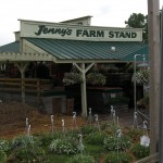 Jenny's Farm Stand 1 Jenny's Farm Stand 1