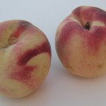 White Lady Peach White Lady Peach