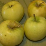 Ginger Gold Apples Ginger Gold Apples