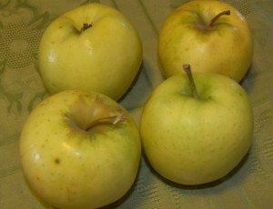 Ginger Gold Apples