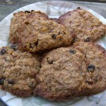 Alton Oatmeal Cookies Alton Oatmeal Cookies