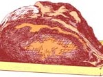 Beef-Roast-2 Beef-Roast-2