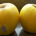 Opal Apples