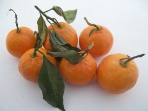 Satsuma Mandarin