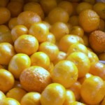 Golden Nugget Mandarins Golden Nugget Mandarins