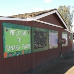 Tanaka Farms 1