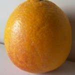Tarocco Blood Oranges 2