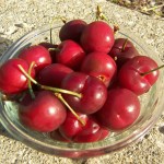 Brooks Cherries Brooks Cherries