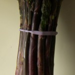 Purple Asparagus Purple Asparagus