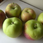 Vista Bella Apples