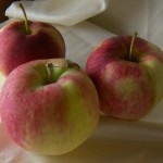 Mollie's Delicious Apples