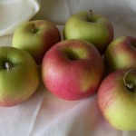 Redfree Apples