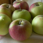 Snow Apples