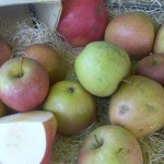 Adam's Pearmain Apples Adam's Pearmain Apples