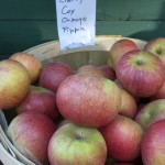Cherry Cox Orange Pippin Cherry Cox Orange Pippin