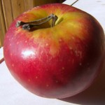 Elstar Apples (4) Elstar Apples (4)