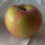 Honeycrisp Apples Honeycrisp Apples