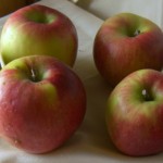 Prima Apples Prima Apples
