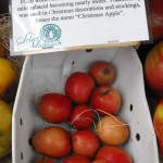 Lady Api Apples Lady Api Apples