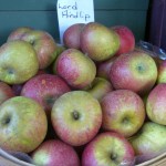Lord Hindlip Apples Lord Hindlip Apples
