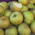 Russett Beauty Apples Russett Beauty Apples