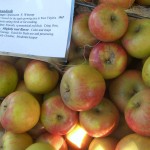 Shenandoah Apples Shenandoah Apples