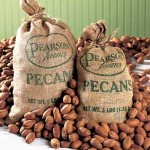 in-shell-pecans in-shell-pecans