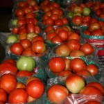 IMG_8667 IMG_8667