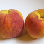 Amber Crest