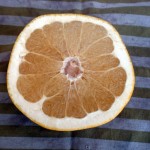 Melogold Cross Section