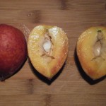 Flavor Rich Peaches