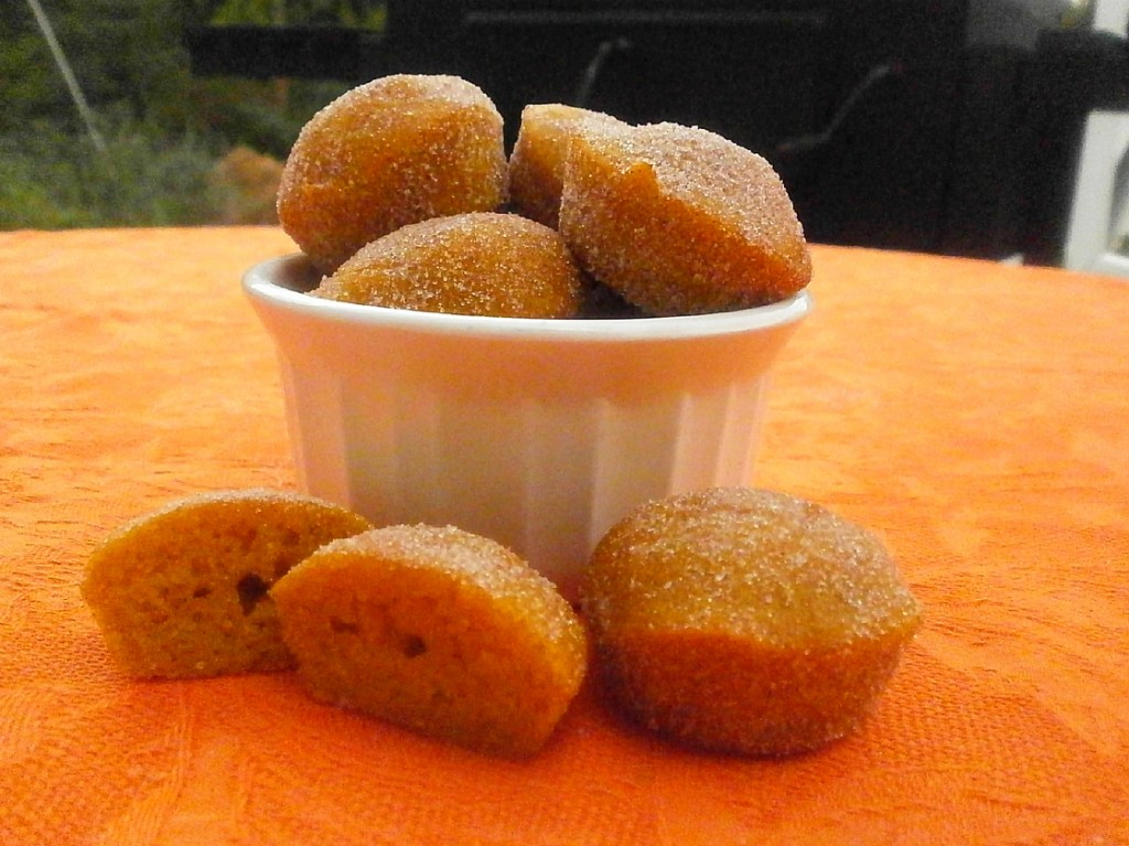 Cinnamon Sugar Pumpkin Donut Holes