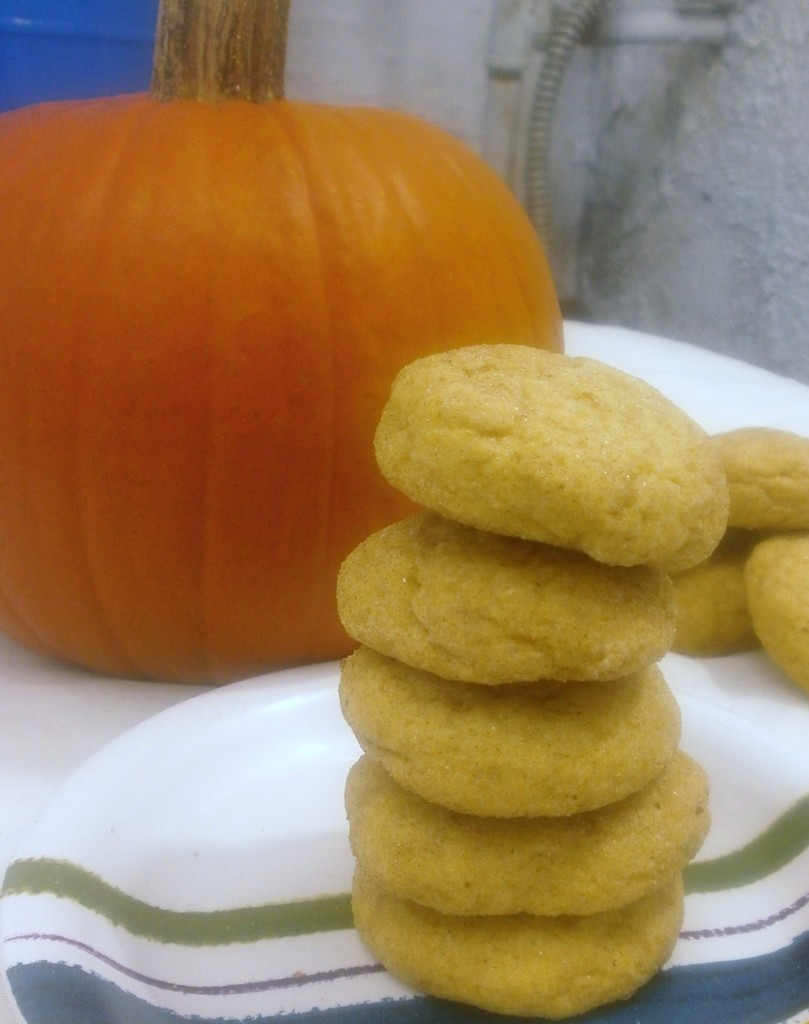 Pumpkin Snickerdoodles