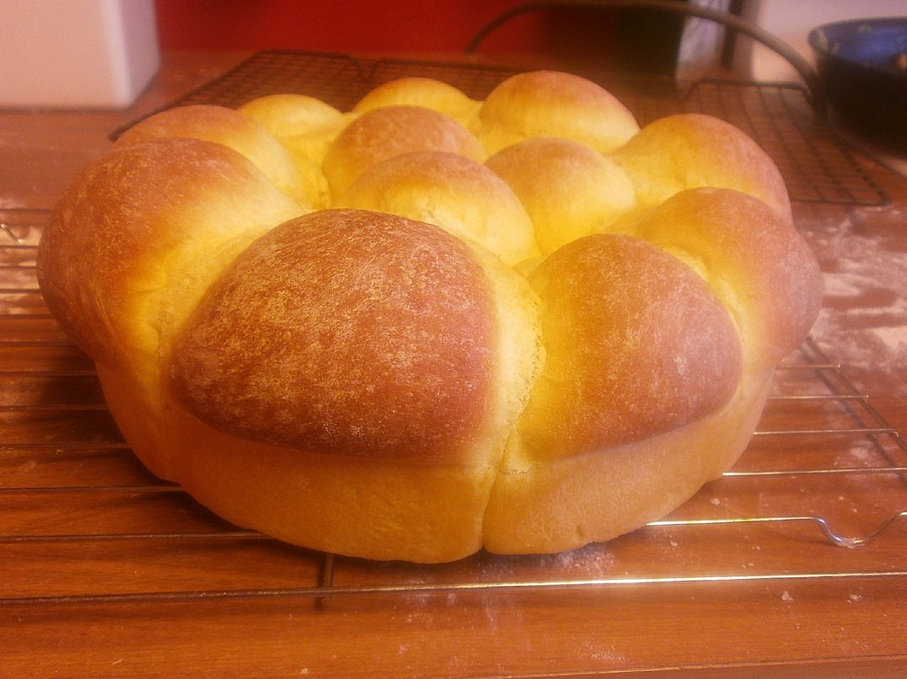 Pumpkin Yeast Rolls