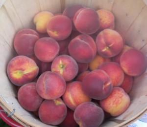 Bellaire Peaches