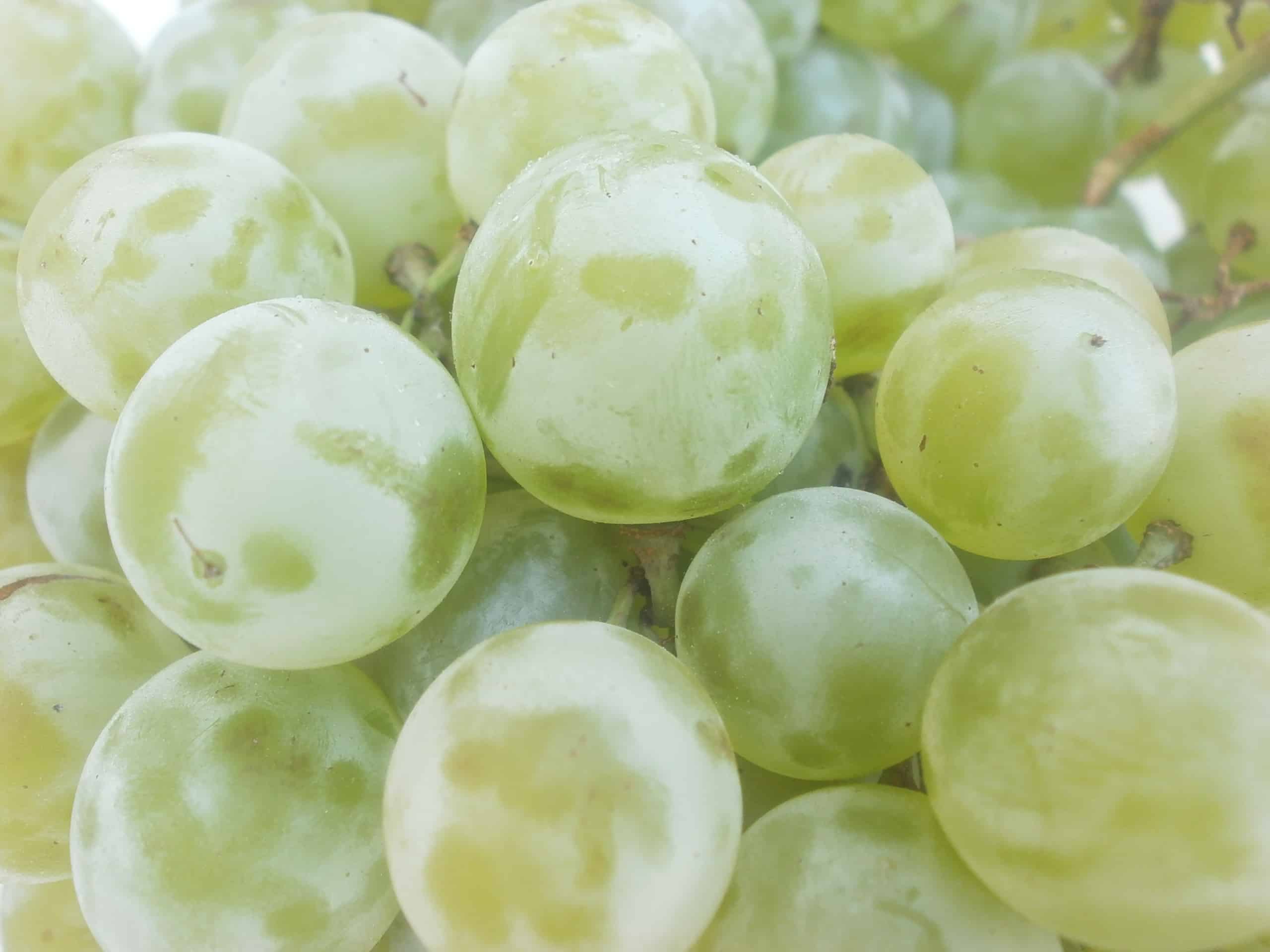 Marquis Grapes