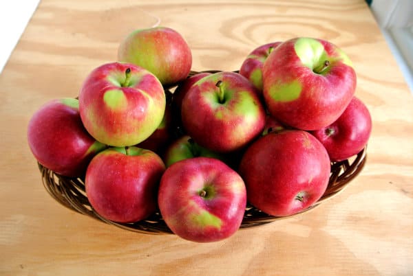 Paula Red Apples