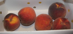 Harrow Beauty Peaches