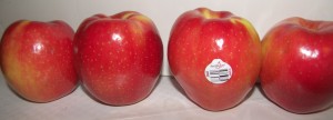 SweeTango Apples 2